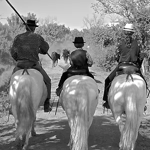 Bed & Breakfast Mas Du Menage En Camargue Manade Clauzel