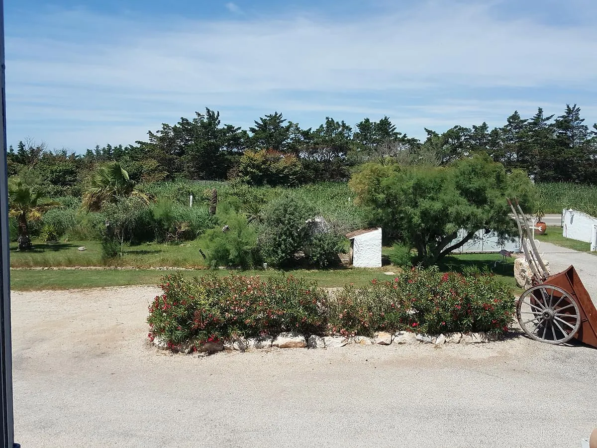 Clamador Saintes-Maries-de-La-Mer Frankreich